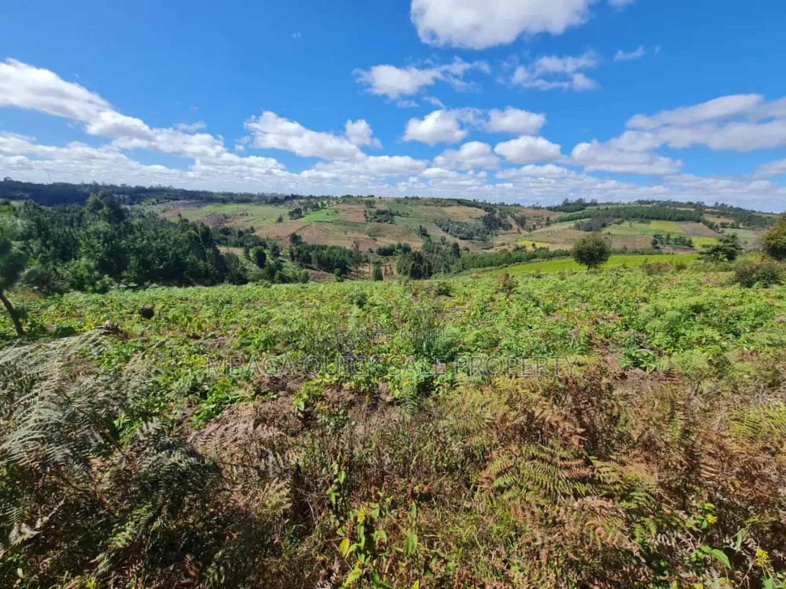 Farm for Sale at Njombe in Njombe Mjini