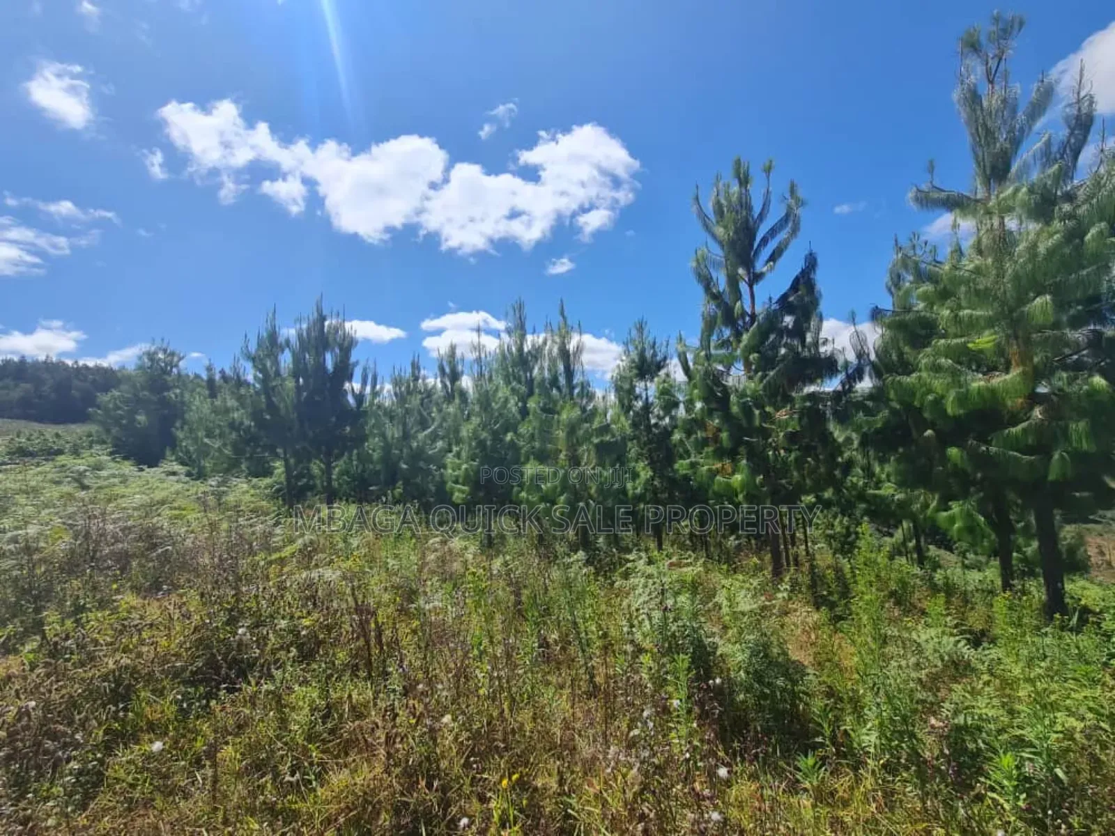 Farm for Sale at Njombe in Njombe Mjini