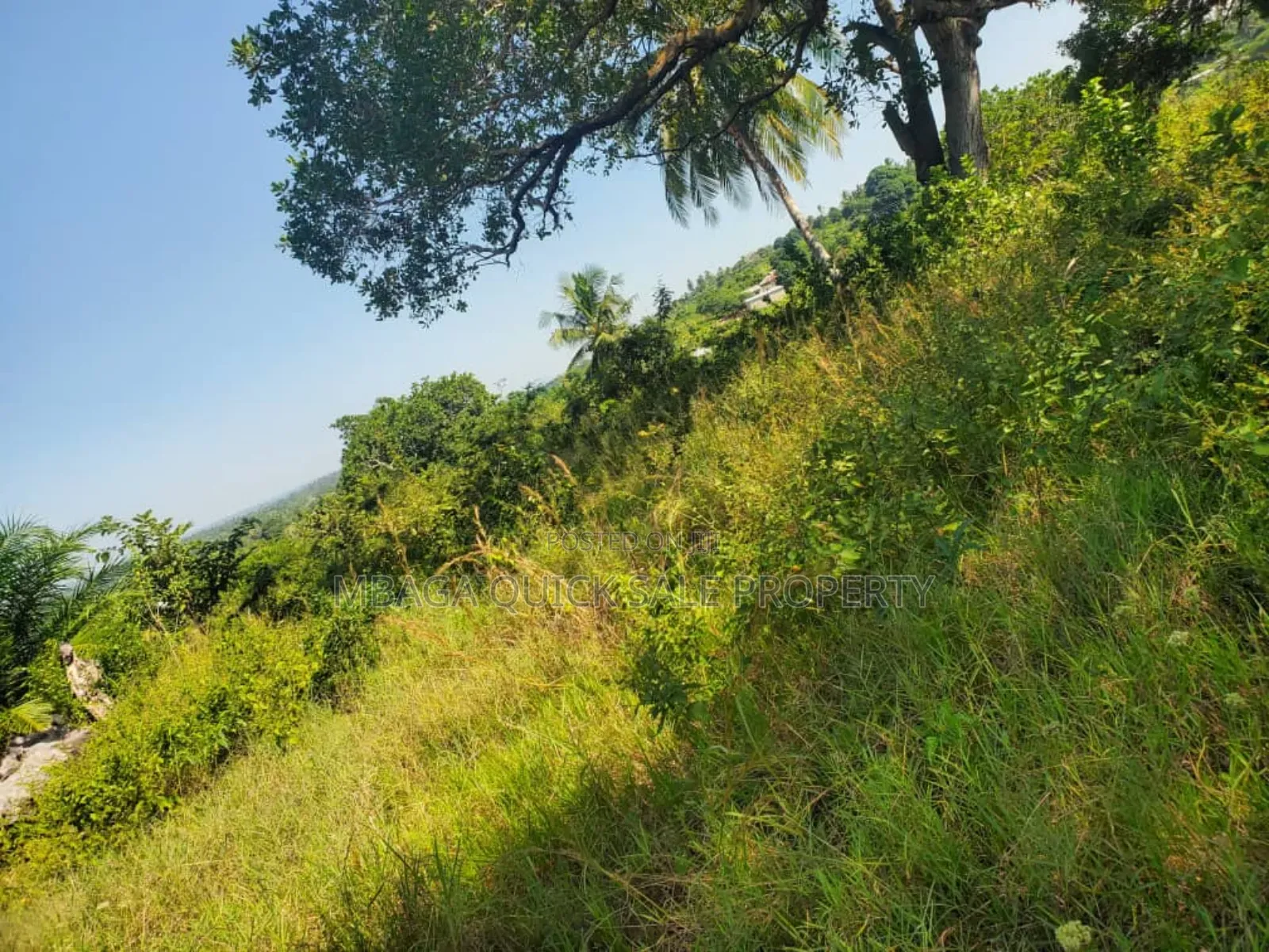 Farm for Sale at Njombe in Njombe Mjini