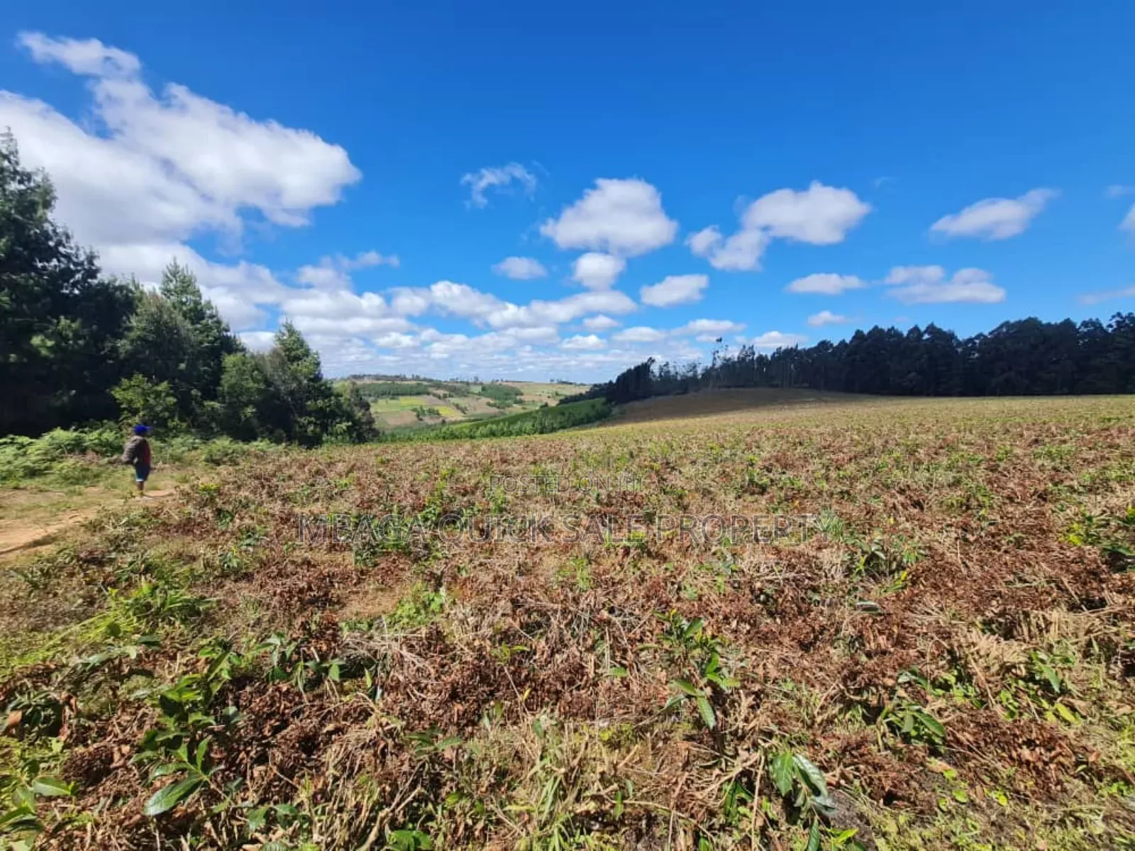Farm for Sale at Njombe in Njombe Mjini