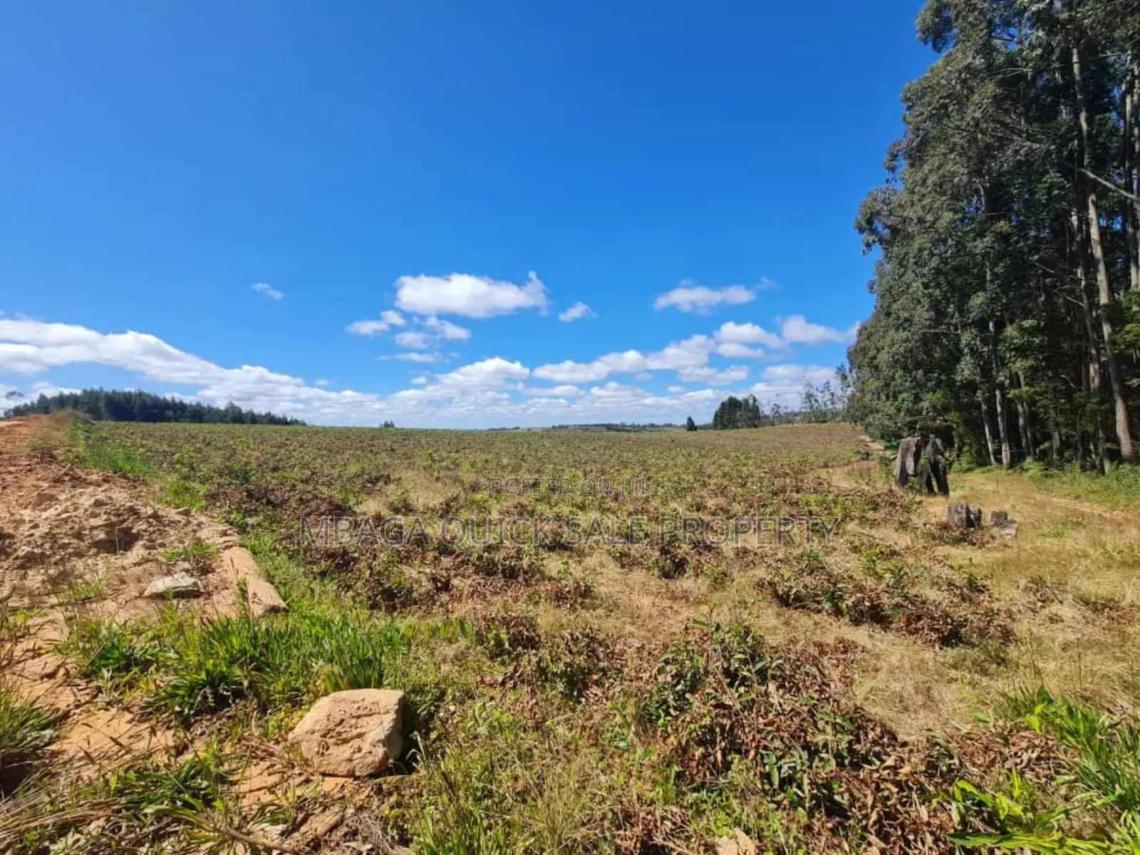 Farm for Sale at Njombe in Njombe Mjini