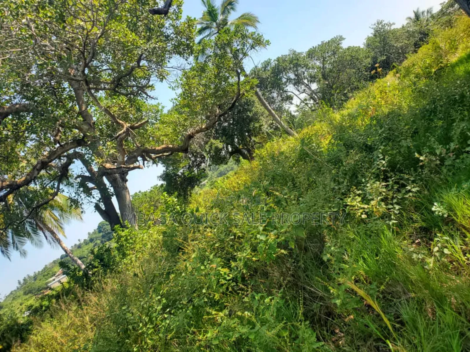 Plot for Sale at Mkuranga , Plot With 25 Acres, in Kigamboni
