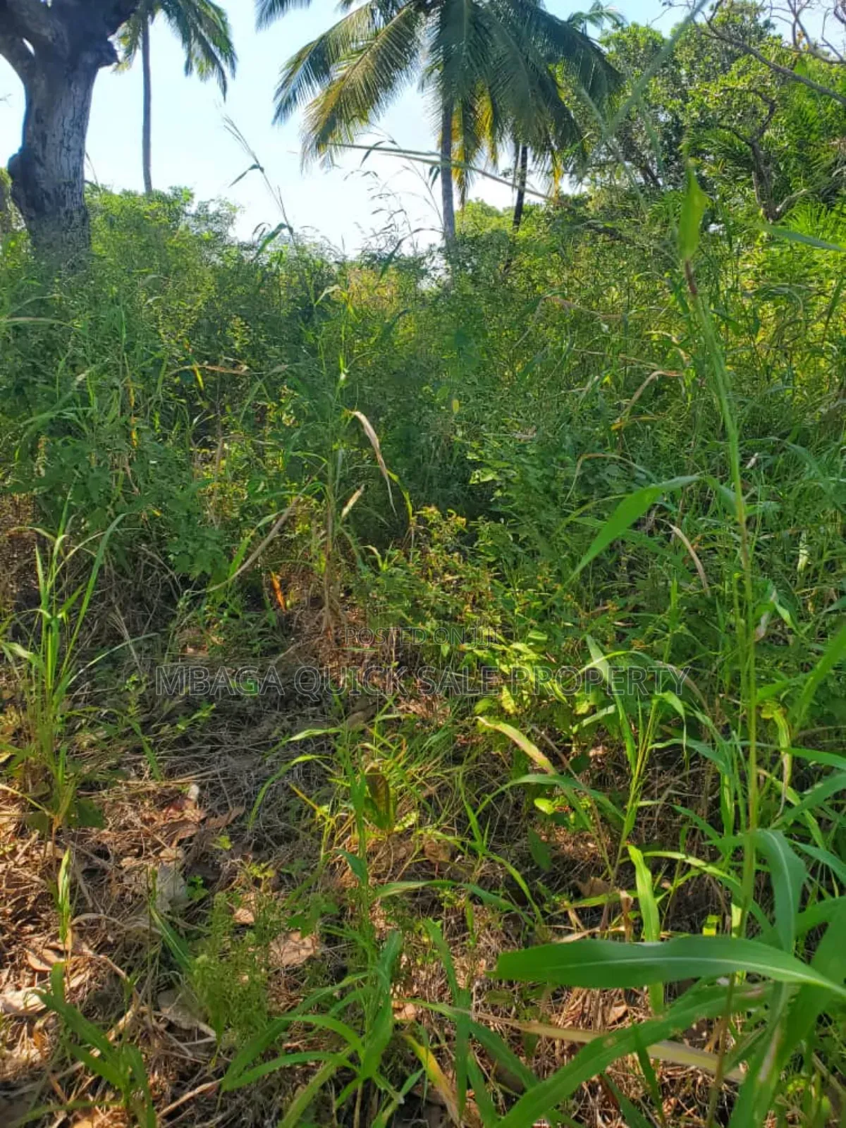 Plot for Sale at Mkuranga , Plot With 25 Acres, in Kigamboni