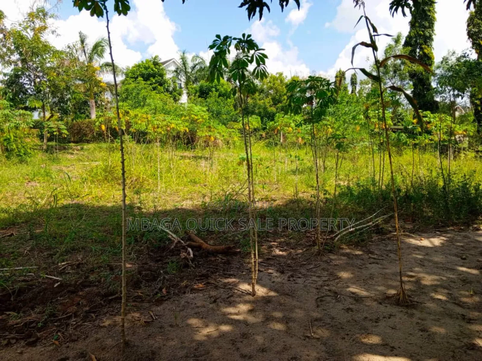 2bdrm Farm House in Kibamba Mwisho for rent in Kibamba
