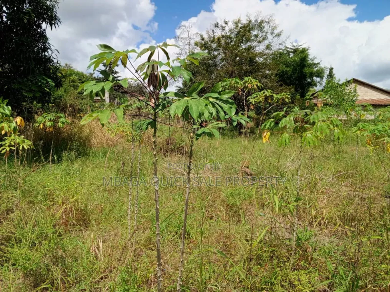 2bdrm Farm House in Kibamba Mwisho for rent in Kibamba
