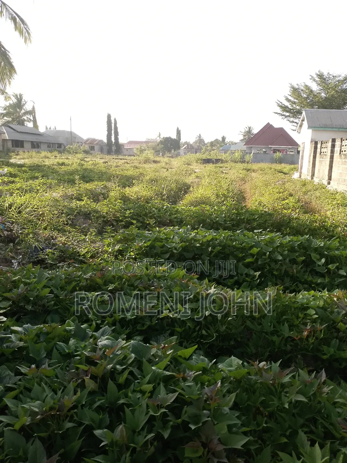 Eneo Sqmita 900 Linauzwa Milioni 25 Majohe Chuo Rada. in Ilala