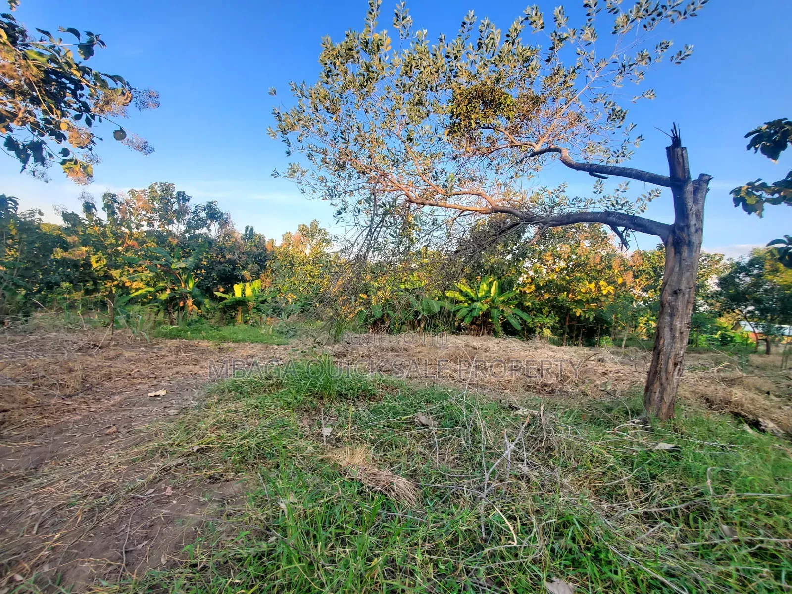 Plot for Sale at Madale in Bunju