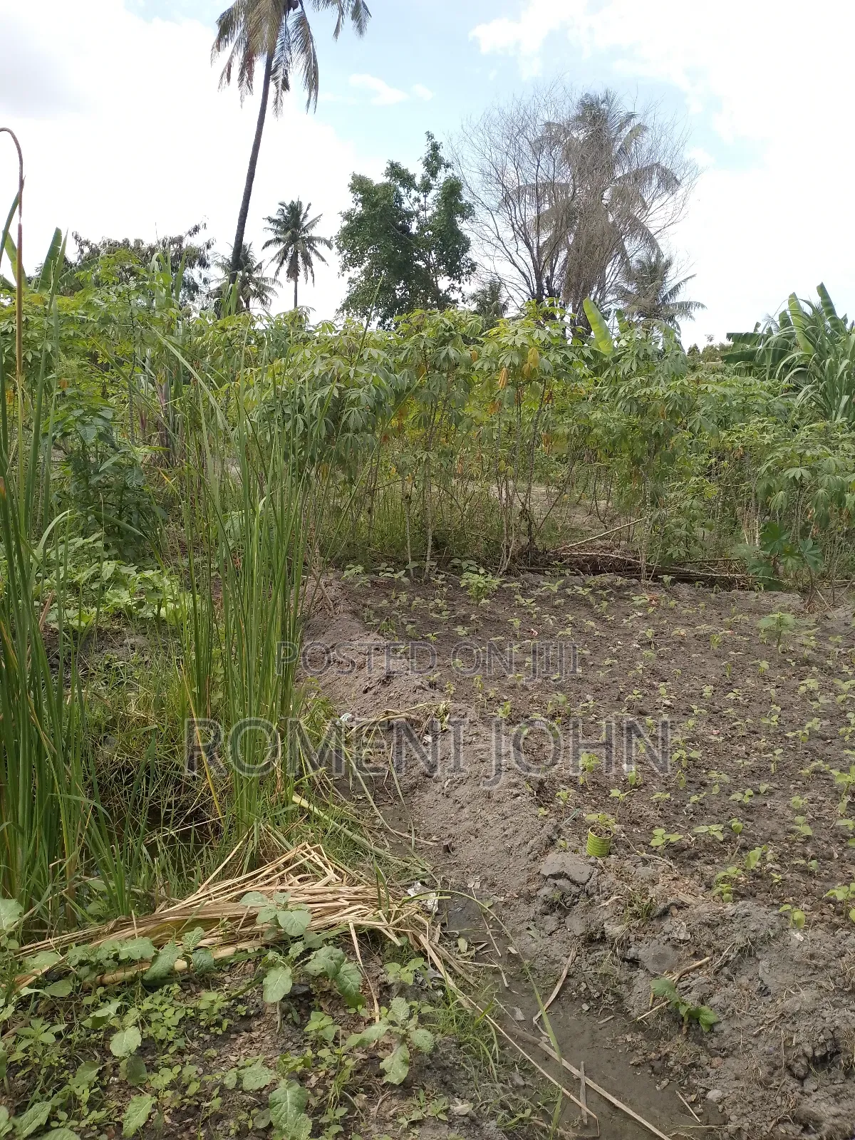 Eneo La Kibiashara Na Makazi Linauzwa Ml 45 Ukonga Mazizini. in Ilala