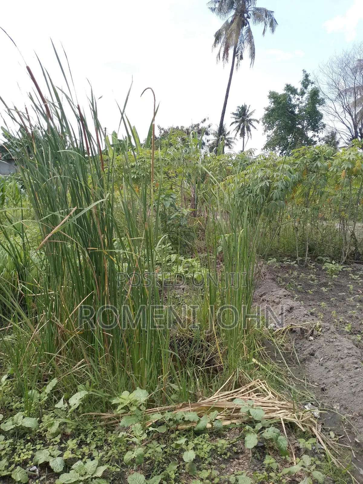 Eneo La Kibiashara Na Makazi Linauzwa Ml 45 Ukonga Mazizini. in Ilala
