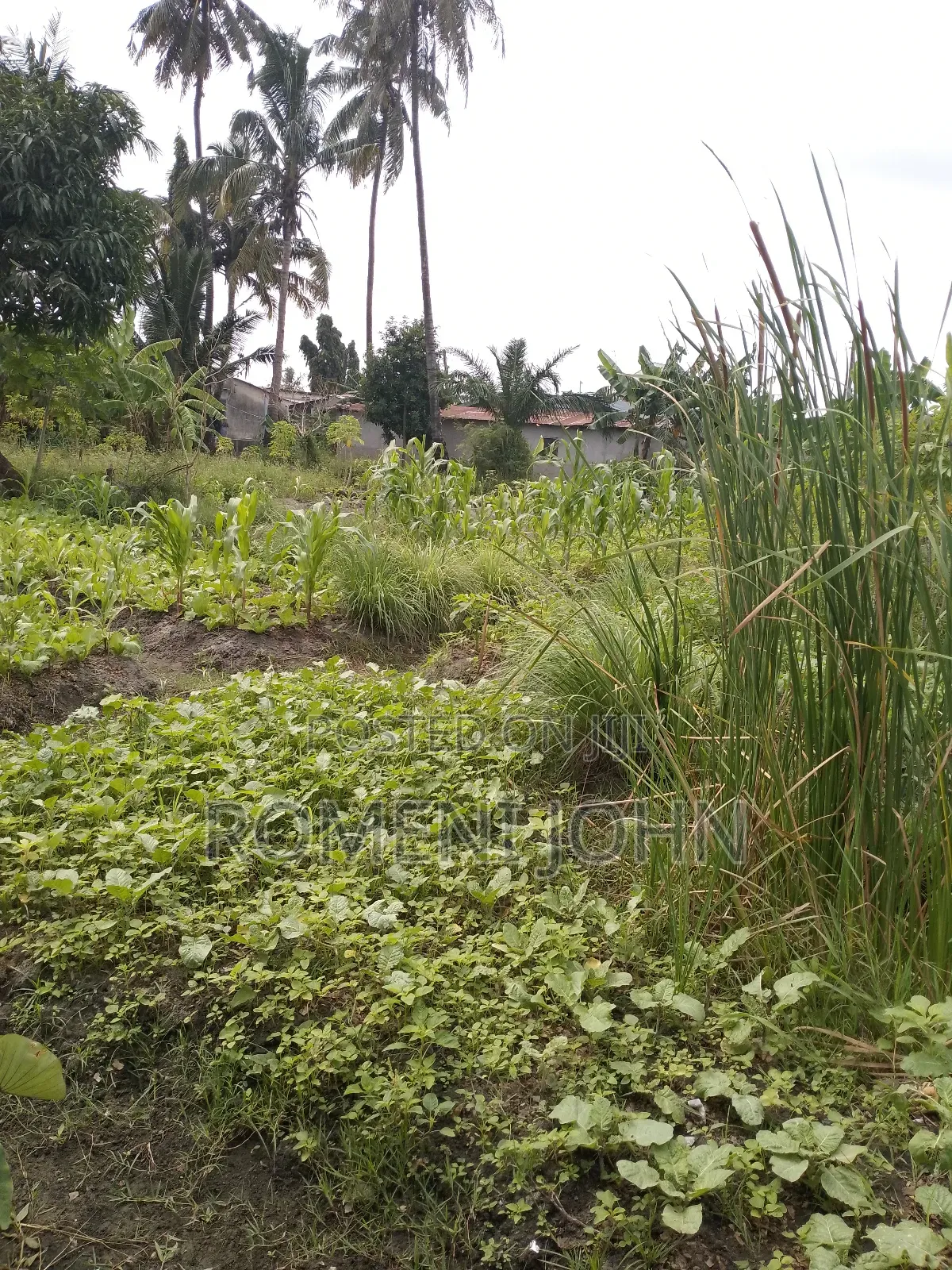 Eneo La Kibiashara Na Makazi Linauzwa Ml 45 Ukonga Mazizini. in Ilala