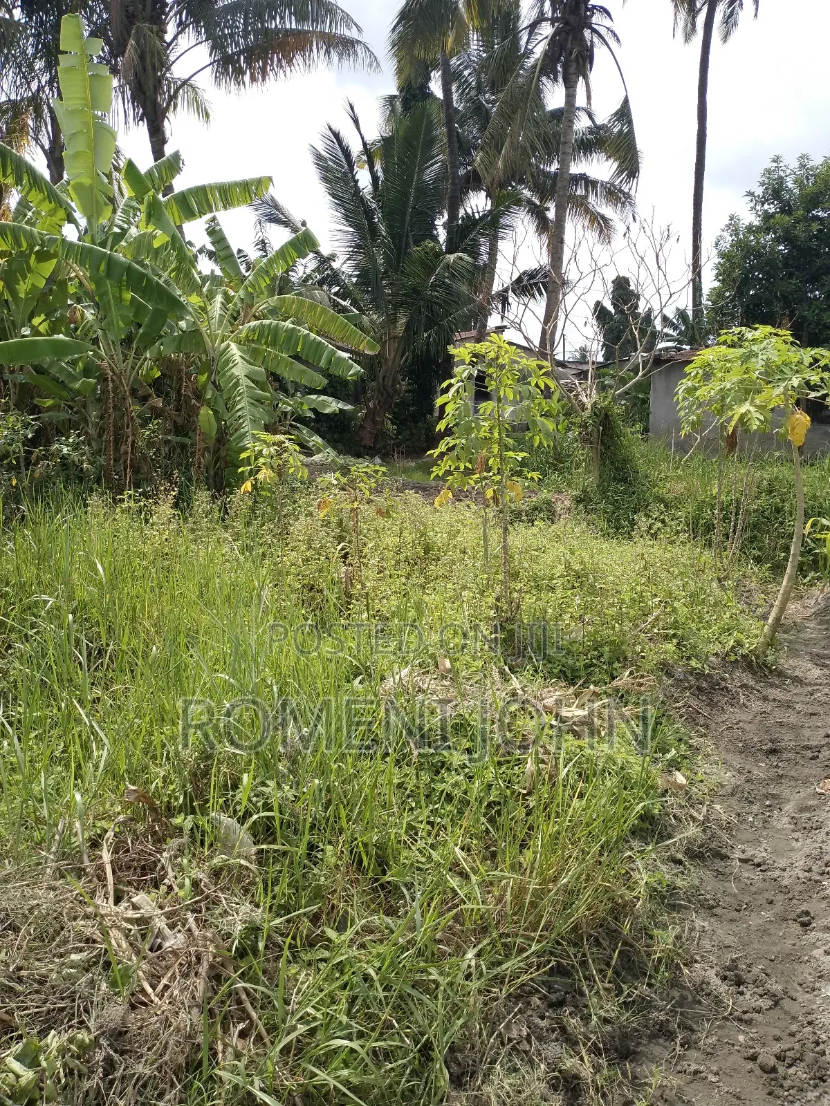 Eneo La Kibiashara Na Makazi Linauzwa Ml 60 Ukonga Mazizini. in Ilala