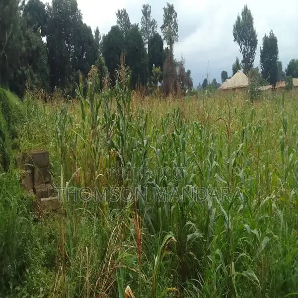 Plot at Shanty Town Moshi in Moshi Urban