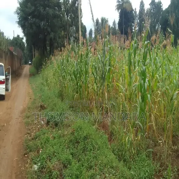 Plot at Shanty Town Moshi in Moshi Urban