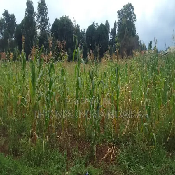 Plot at Shanty Town Moshi in Moshi Urban