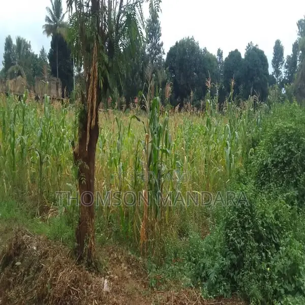 Plot at Shanty Town Moshi in Moshi Urban