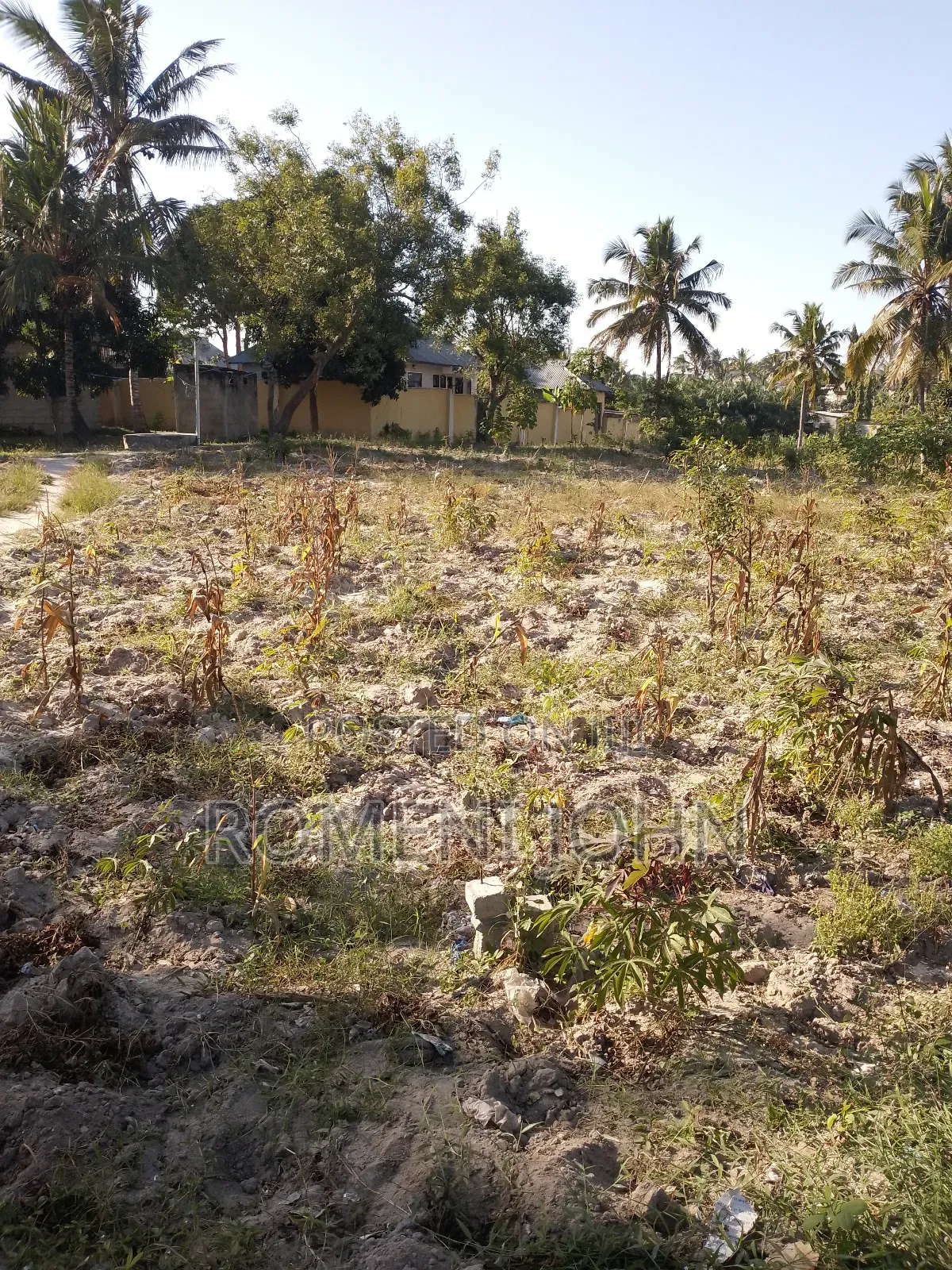 Kiwanja Sqmita 400 Kinauzwa Milioni 14 Ukonga Majohe Bwela. in Ilala