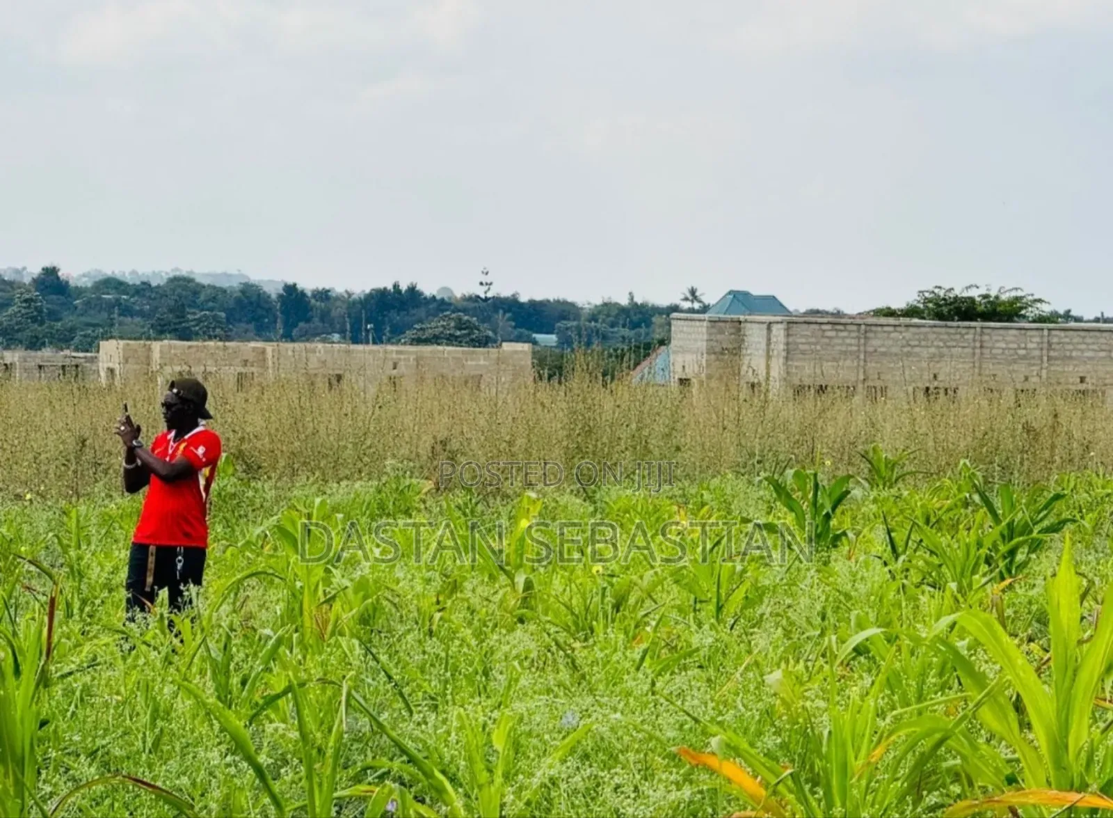 New Project Arusha and Kilimanjaro in Arusha