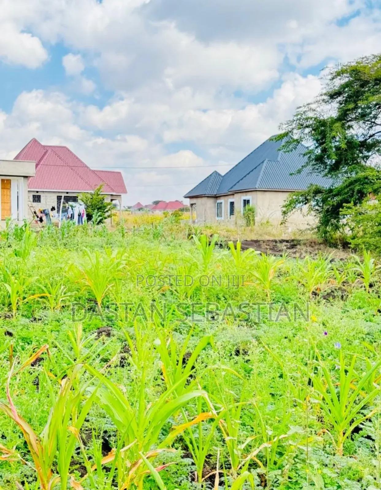 Viwanja Arusha Na Moshi Vimepimwa Kabisa in Arusha