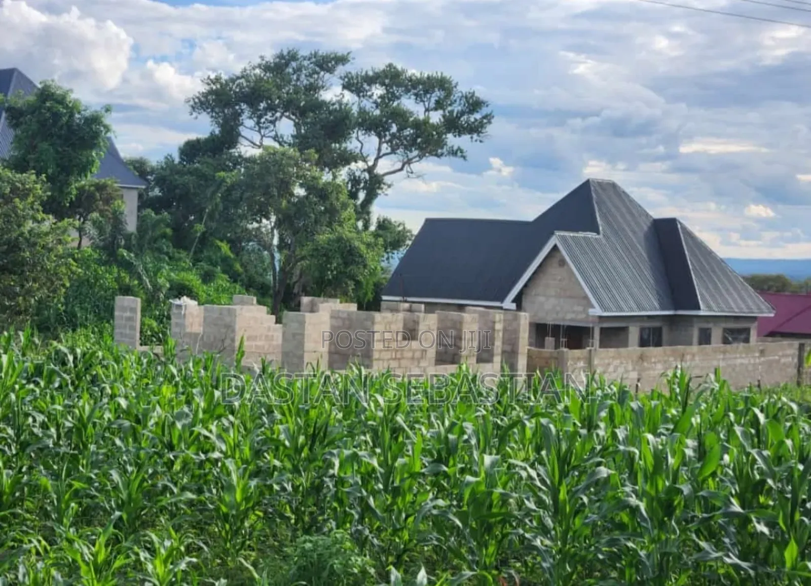 New Project Arusha - Maji Ya Chai in Arusha