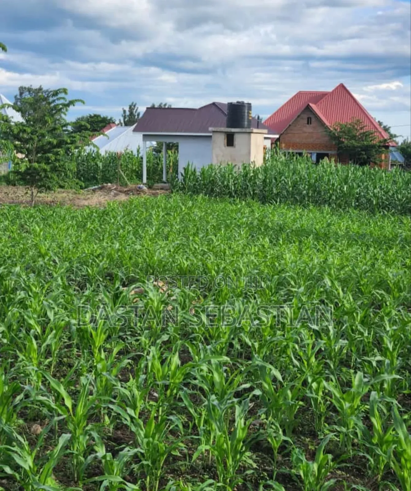New Project Arusha - Maji Ya Chai in Arusha