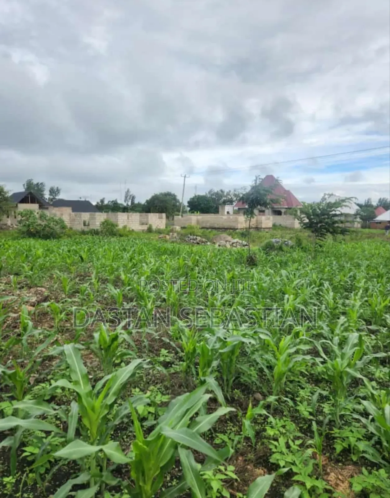 New Project Arusha - Maji Ya Chai in Arusha