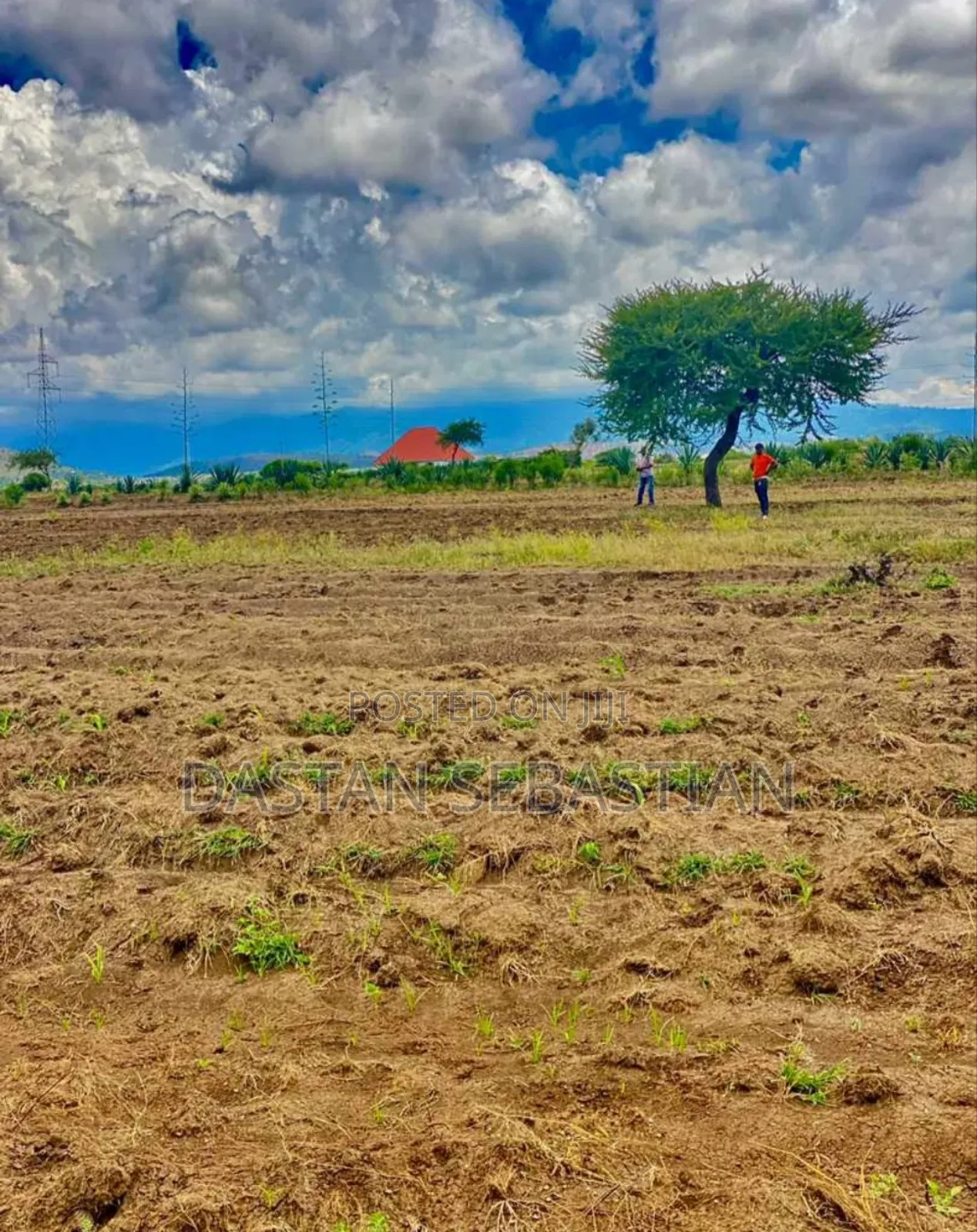 New Project Kisongo Meserani in Arusha