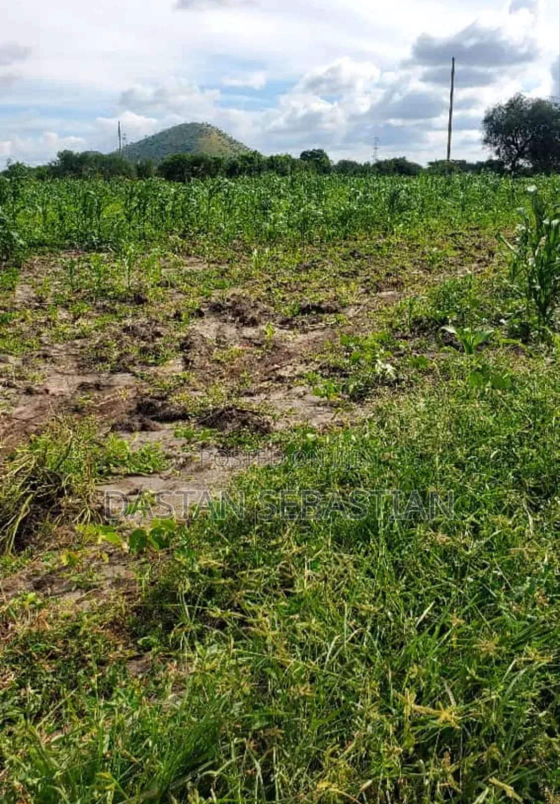 New Project Kisongo Yakini in Arusha