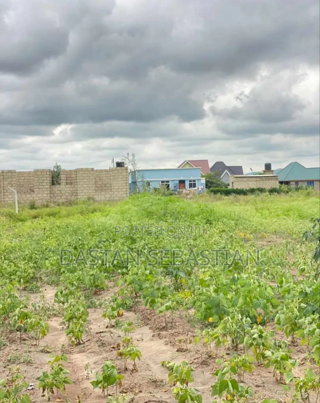 New Project Kisongo Panoni, Shalom in Arusha
