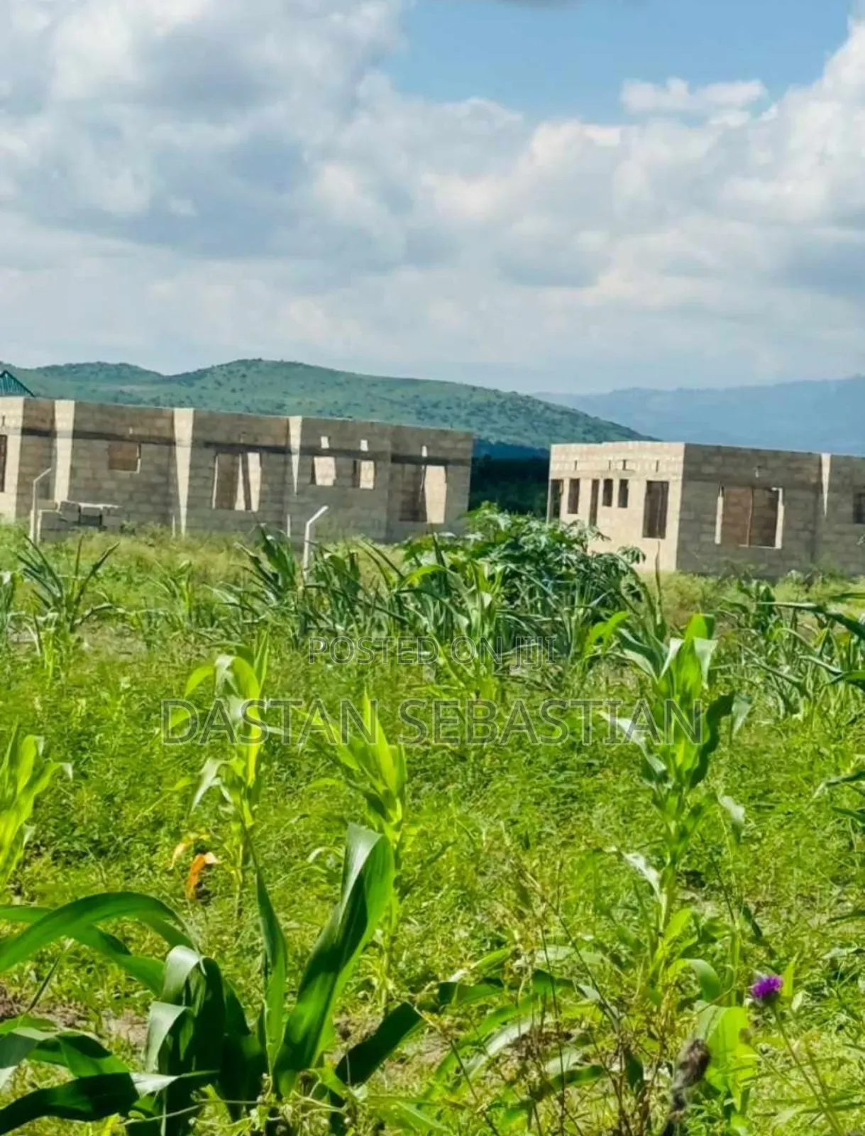 New Project Kisongo Panoni, Shalom in Arusha