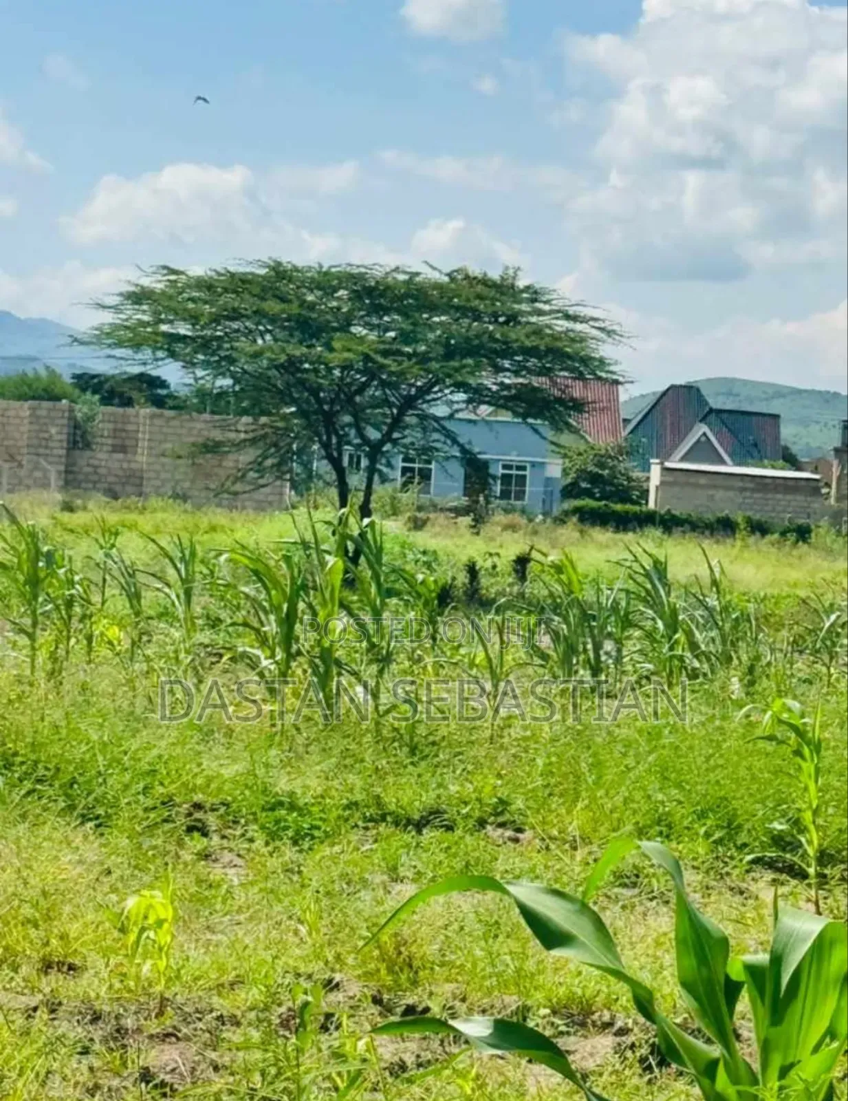 New Project Kisongo Panoni, Shalom in Arusha