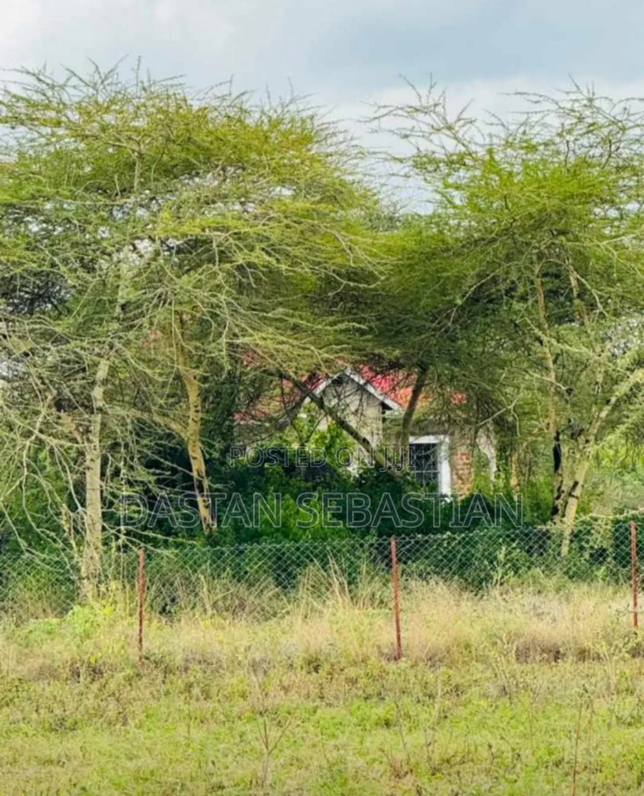 Viwanja Intell in Arusha