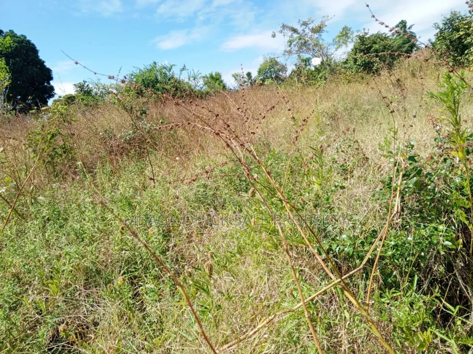 Plot for Sale at Kibaha Madafu in Kibaha