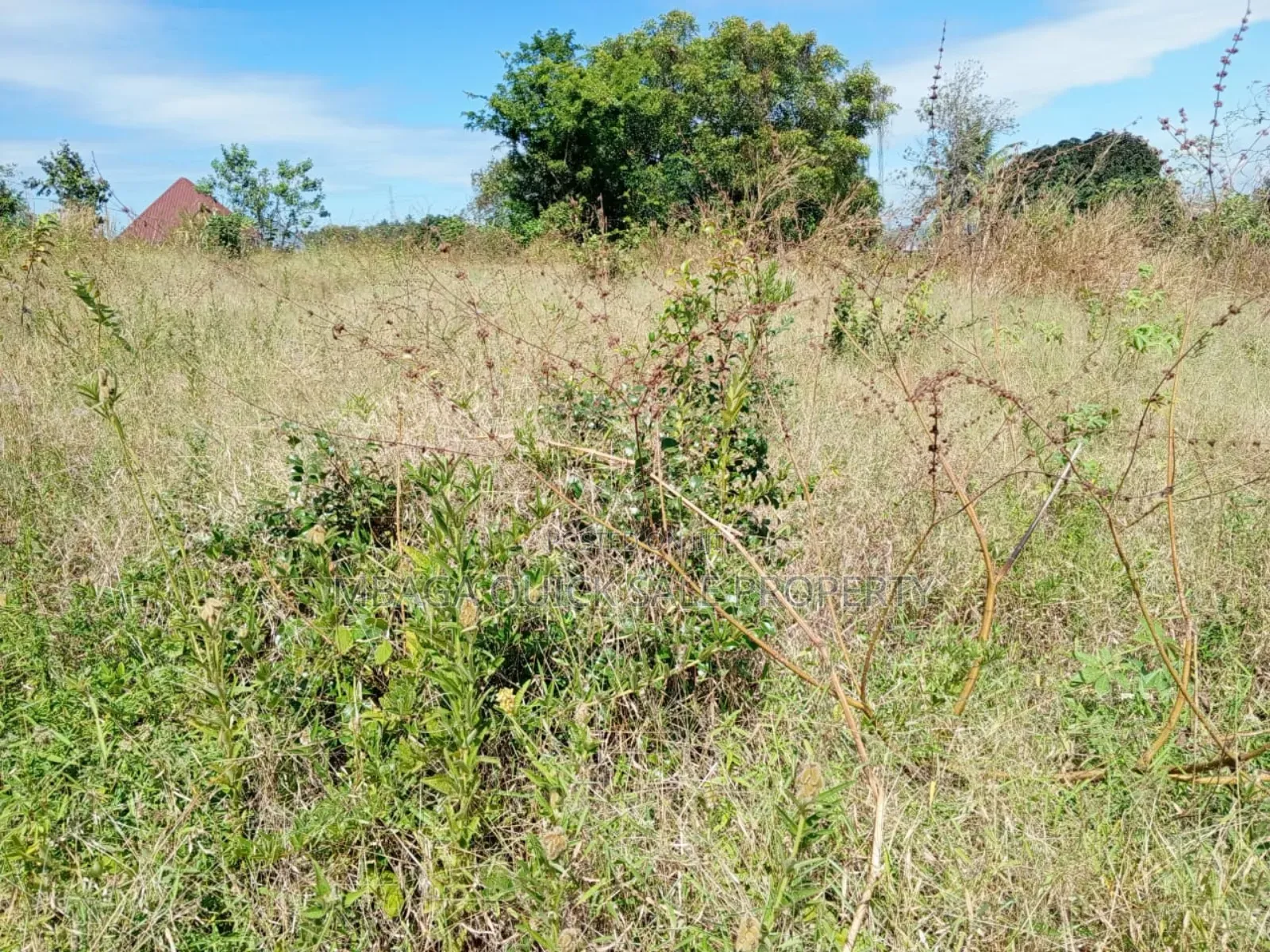Plot for Sale at Kibaha Madafu in Kibaha