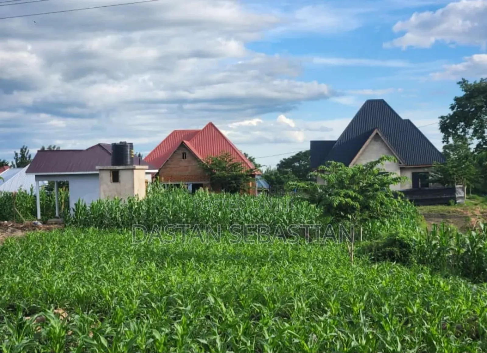 New Project Kisongo Meserani in Arusha