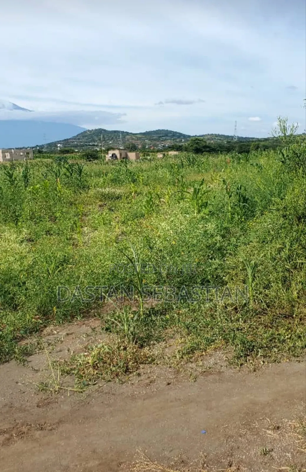 New Project Kisongo Meserani in Arusha