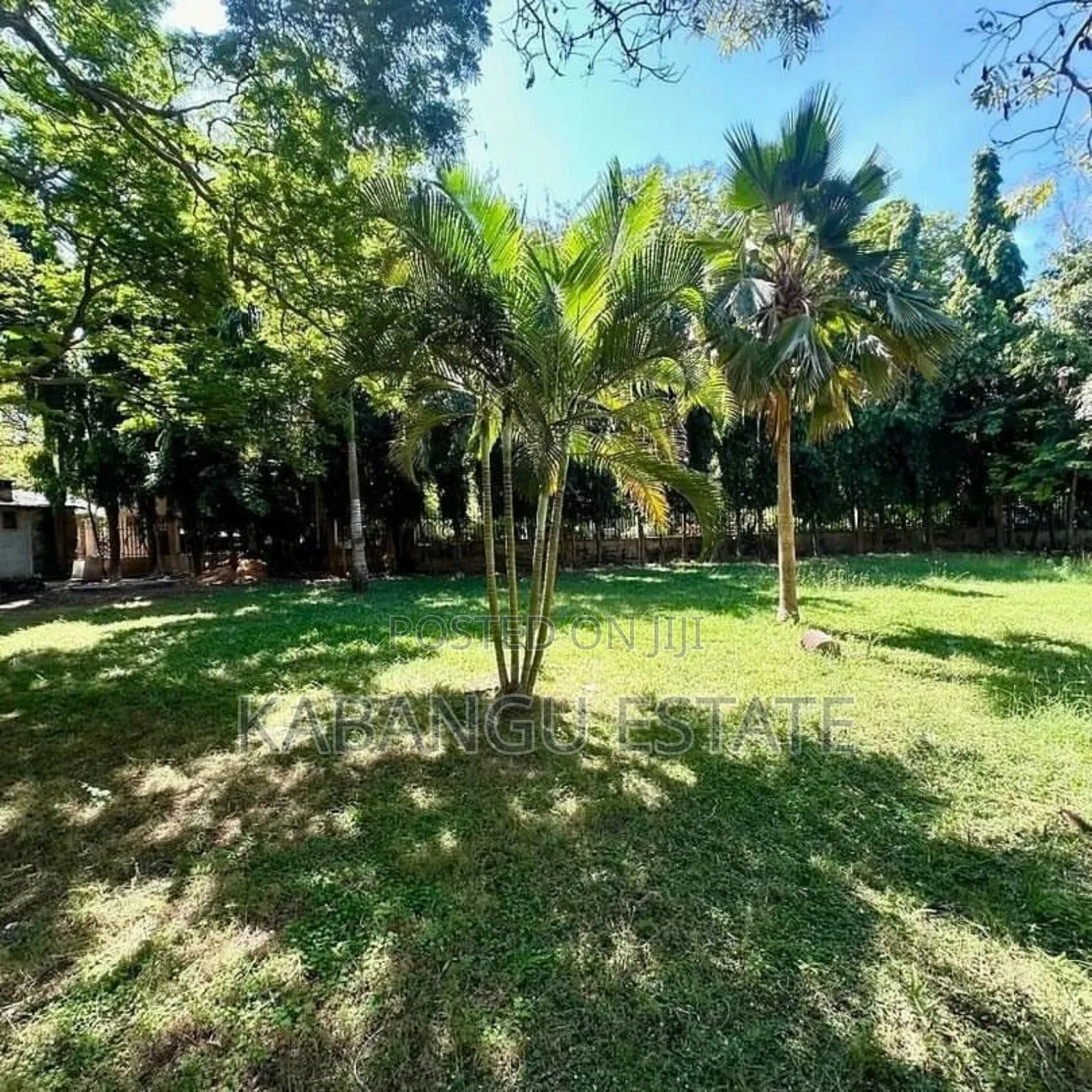 3bdrm House in Oysterbay, Kinondoni for rent in Kinondoni