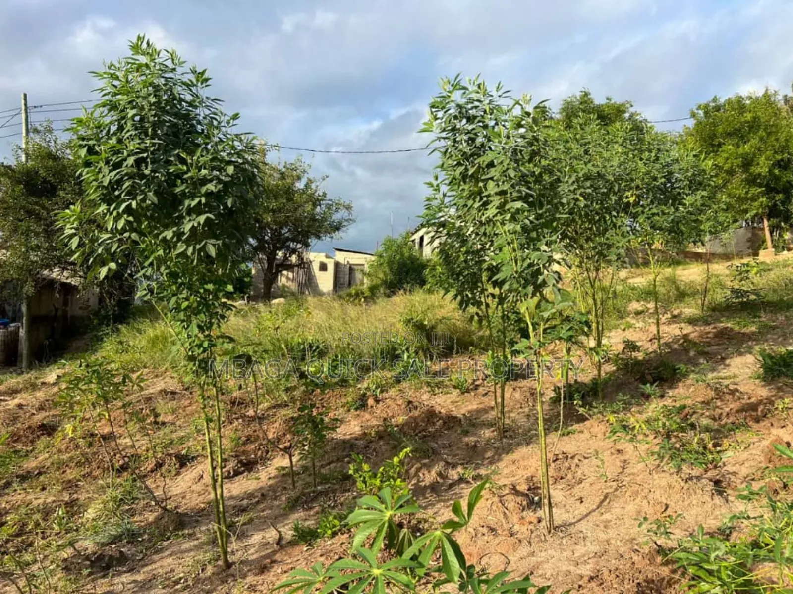 2 Plot for Sale at Goba Kulangwa in Goba