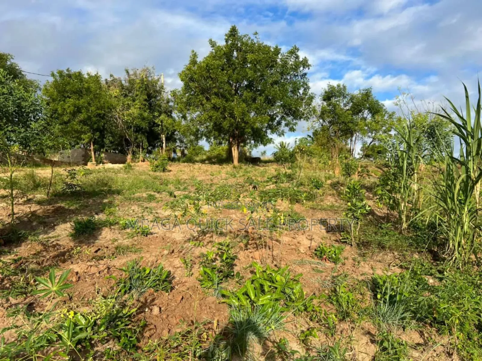 2 Plot for Sale at Goba Kulangwa in Goba