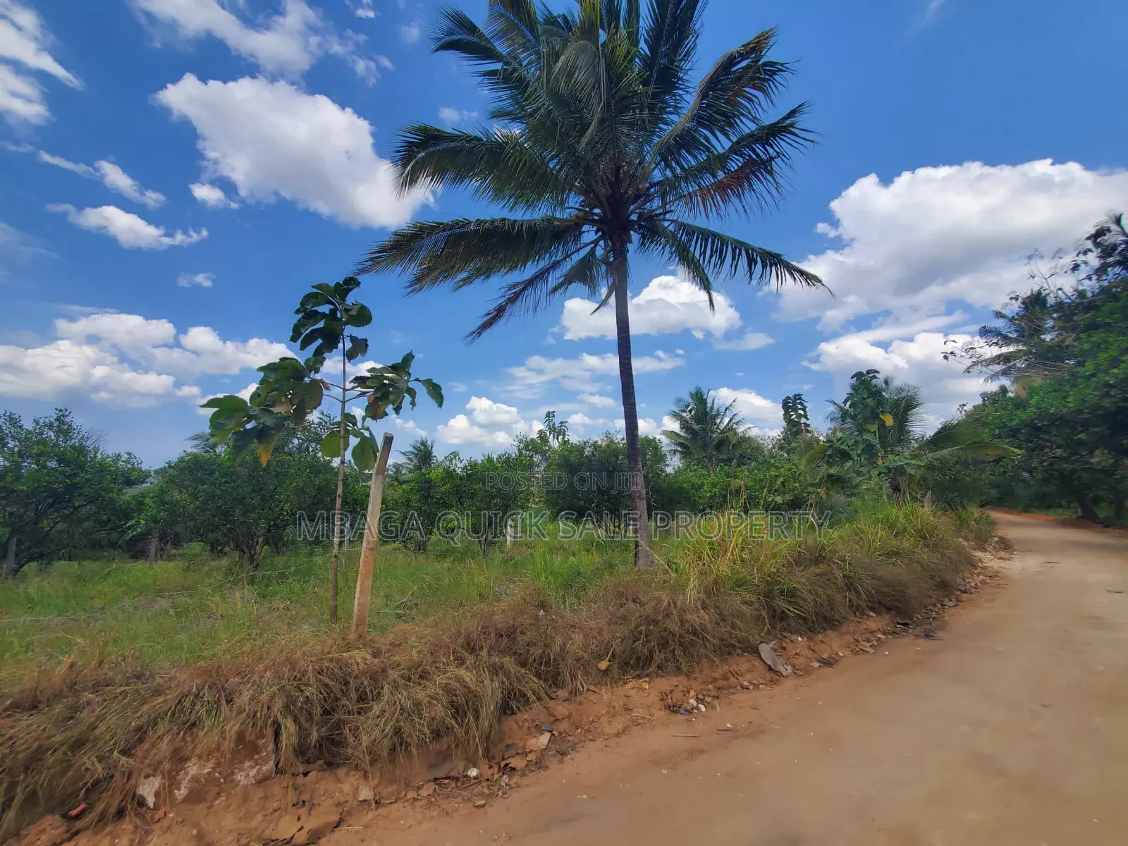 Plot for Sale at Madale Mkoroshini in Goba