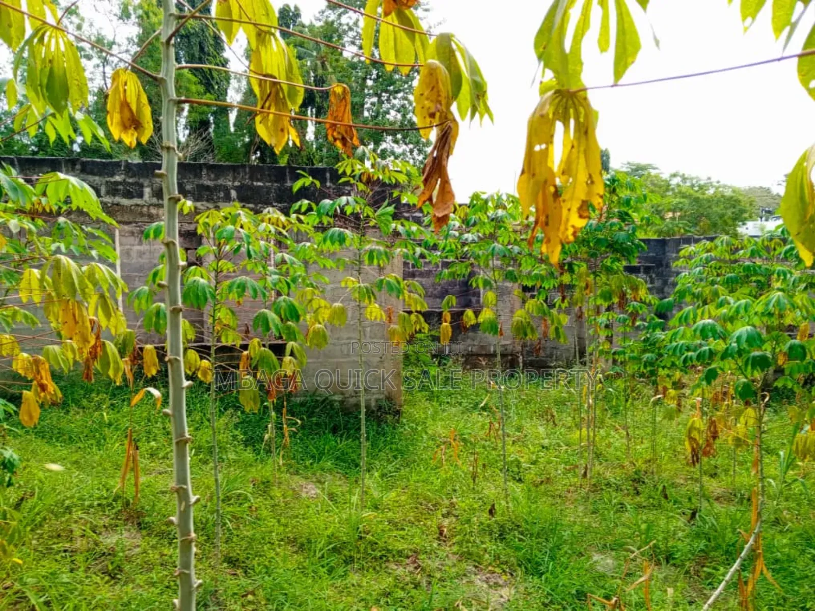 Plot for Sale at Mbezi Center in Mbezi Beach