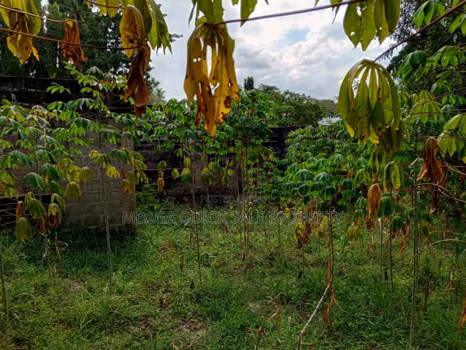 Plot for Sale at Mbezi Center in Mbezi Beach