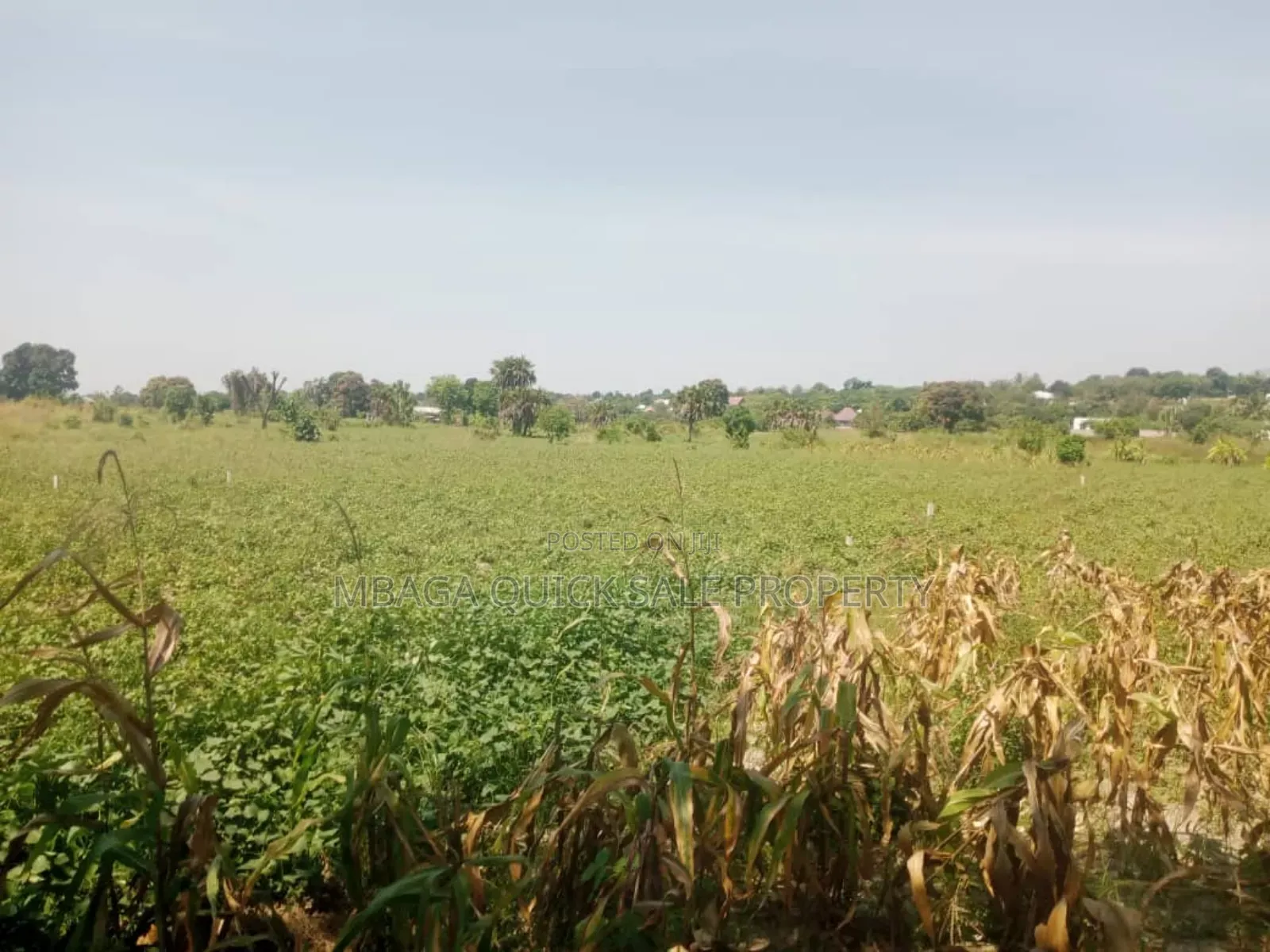 Plot for Sale at Kerege Bagamoyo in Bagamoyo