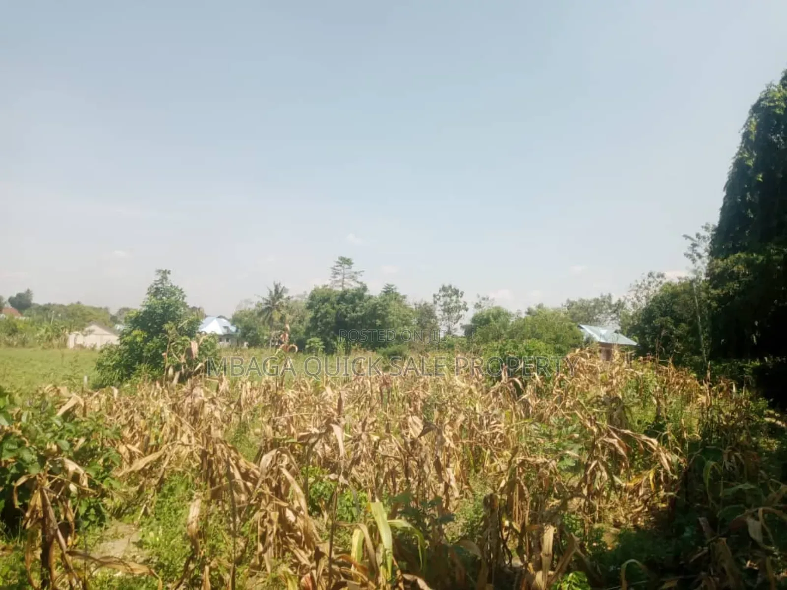 Plot for Sale at Kerege Bagamoyo in Bagamoyo