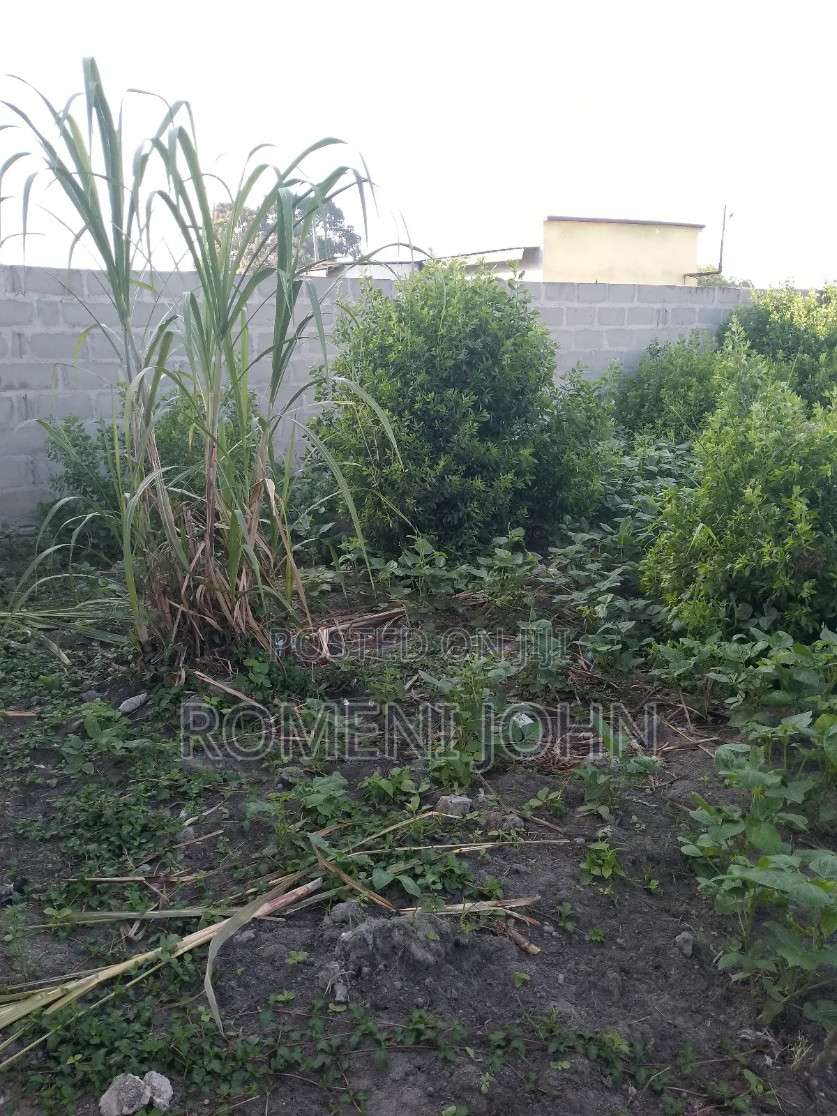 Eneo Sqmita 400 Linauzwa Milioni 7.5 Ukonga Majohe Chuo Rada in Ilala