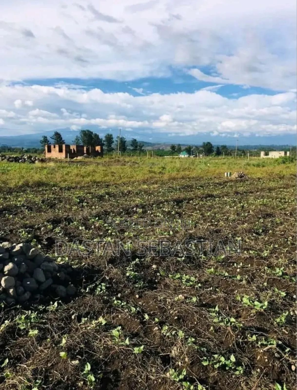 Boma Ng'ombe Kumenoga in Arusha
