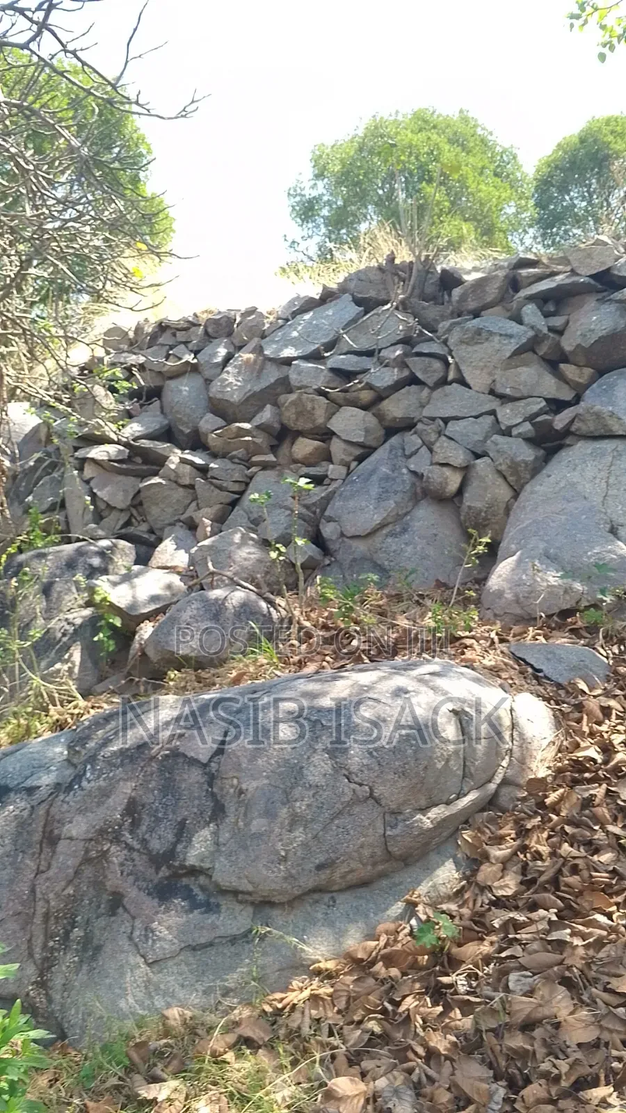 Beach Plot for Sale in Butimba
