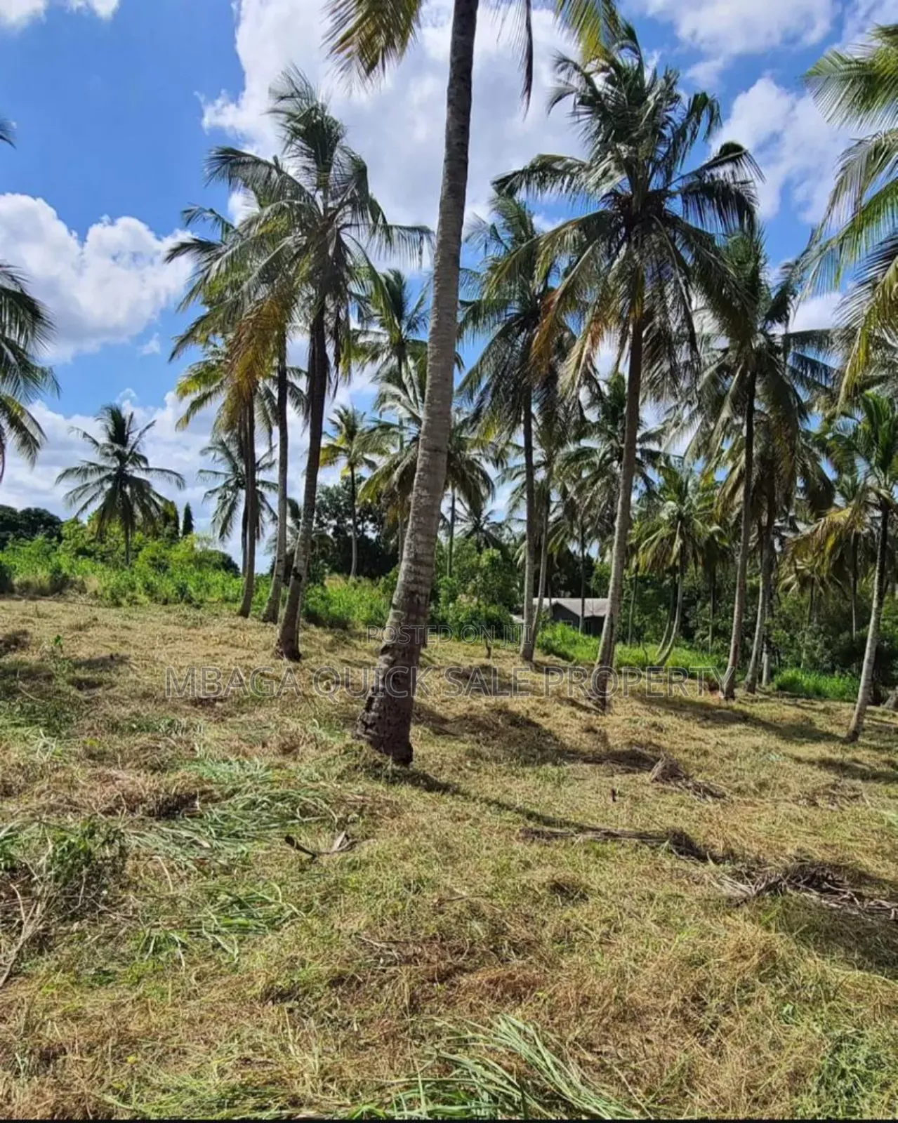 Plot for Sale at Mbezi Luguruni in Mbezi