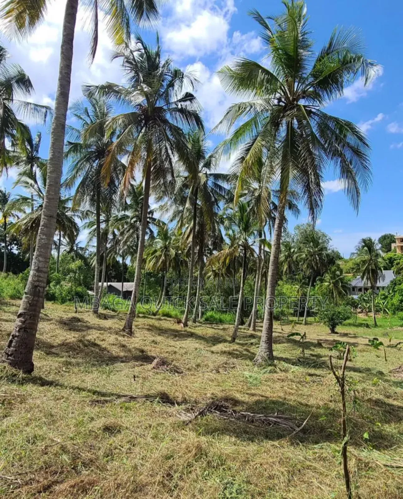 Plot for Sale at Mbezi Luguruni in Mbezi