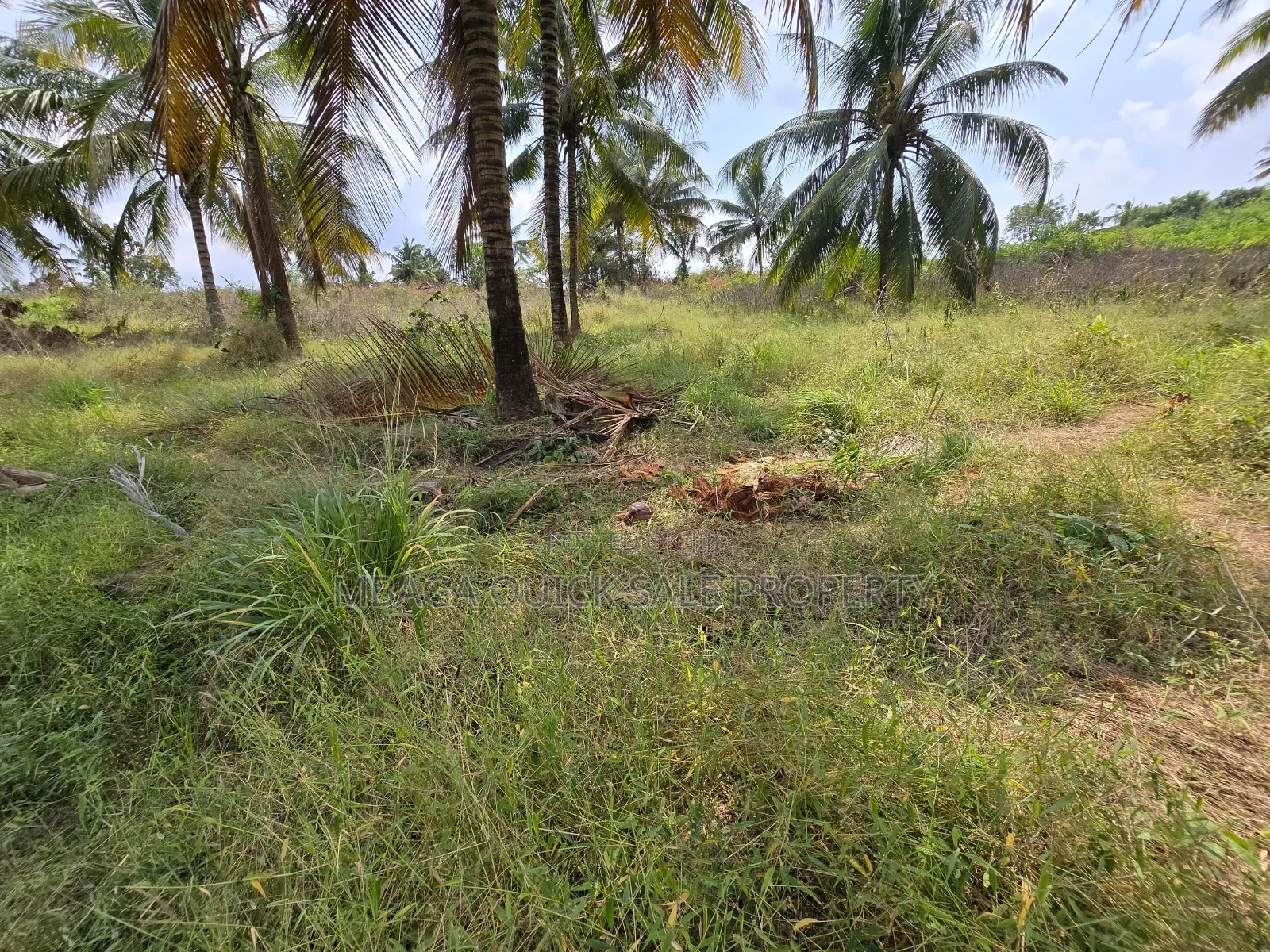 Plot for Sale at Madale in Goba