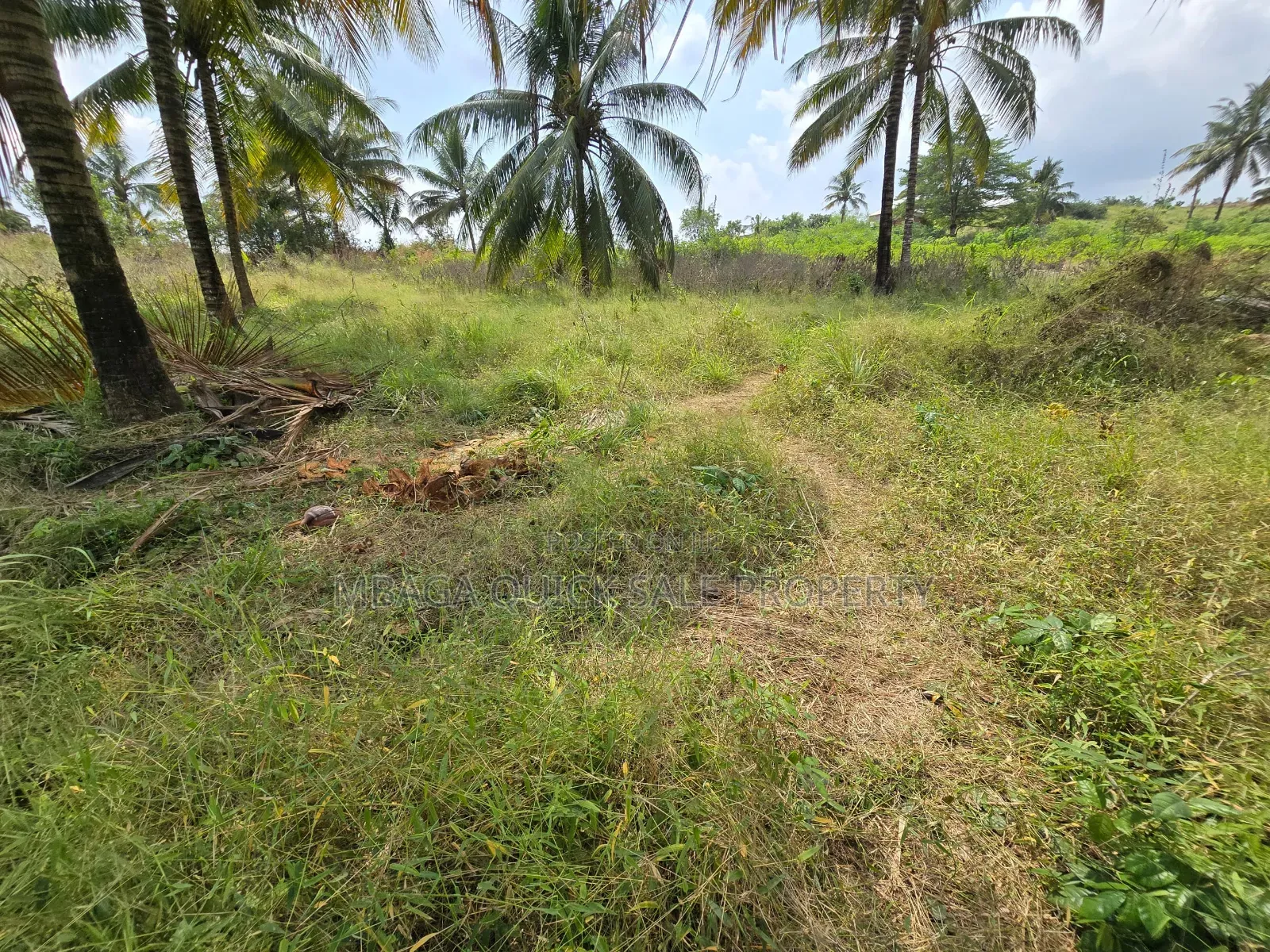 Plot for Sale at Madale in Goba